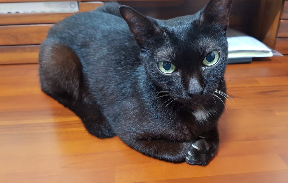 My last letter to&nbsp;you